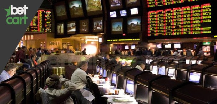 درآمد سایت شرط بندی